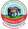 Welsh Pony Rescue and Rehoming